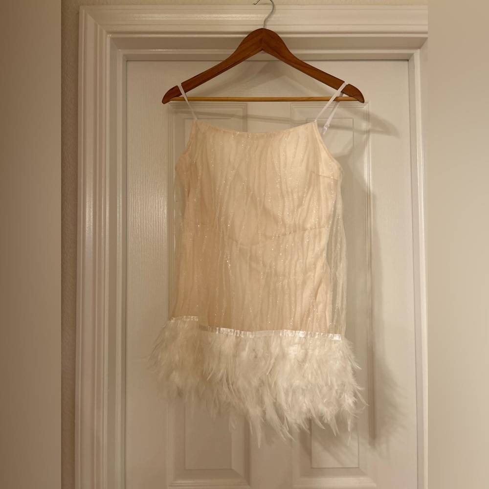 Slipdress Spaghetti Straps Backless Mini Dresses With Fringe